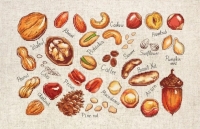B1165 Орехи и семена. Набор для вышивки крестом