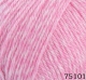 Himalaya Everyday New Tweed 75101