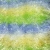 YarnArt Crazy Samba 761
