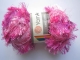 YarnArt Crazy Samba 761